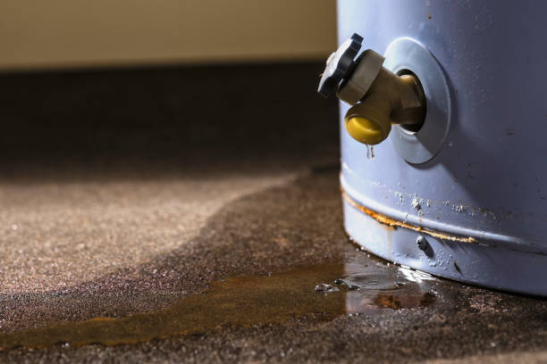 Best Carpet water damage restoration  in Glasgow, MO