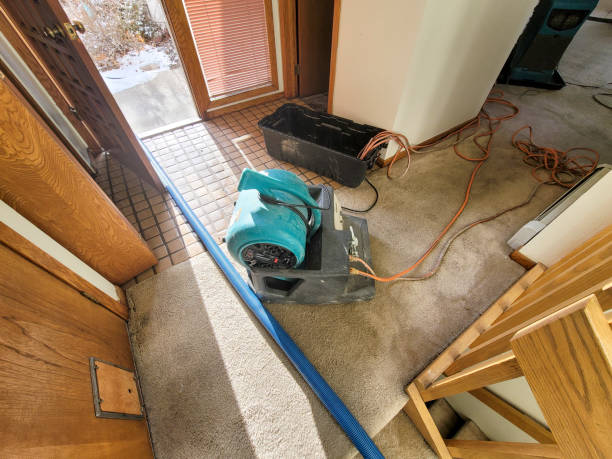 Best Flooded house restoration  in Glasgow, MO