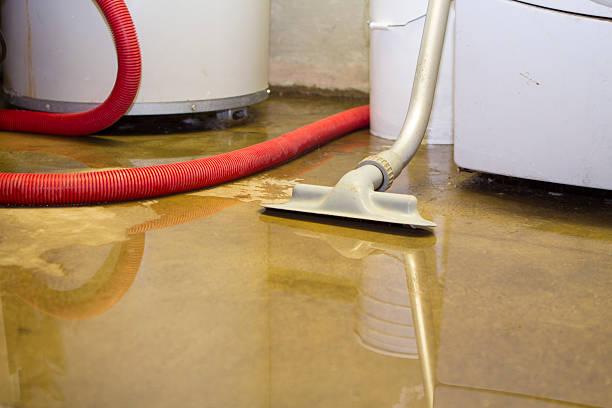 Best Water damage restoration near me  in Glasgow, MO