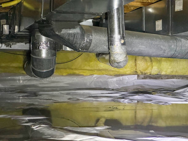 Best Professional water damage repair  in Glasgow, MO