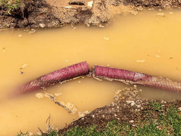 Best Flood restoration services  in Glasgow, MO